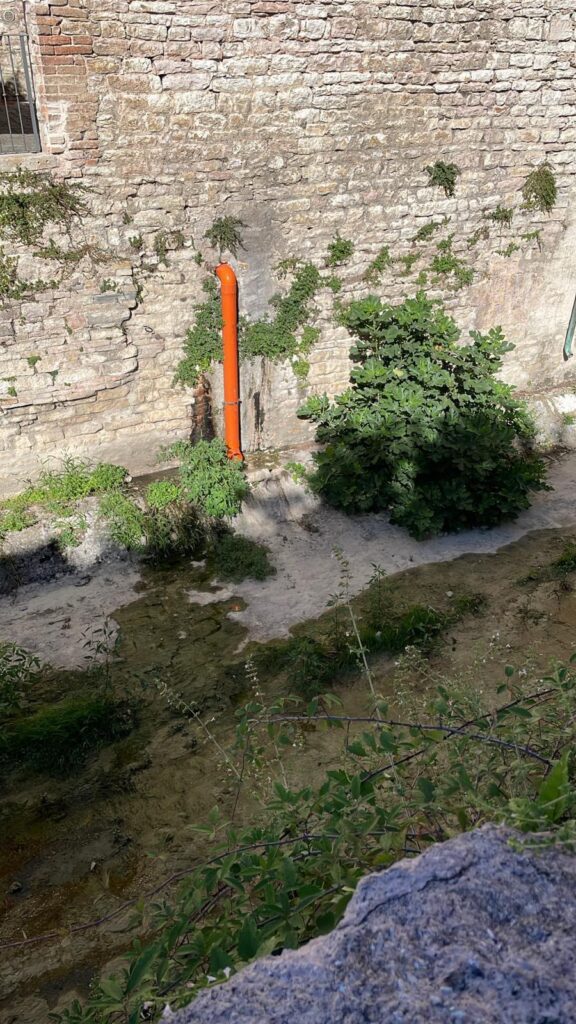 Ponte di San Martino perdita idrica e degrado nell’area sottostante